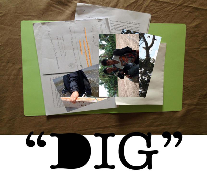 DIG
